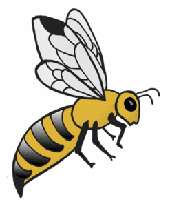 abeille