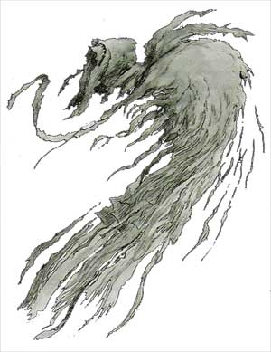  Âme-en-peine