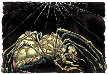  Arachnéa