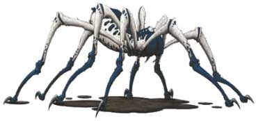  Araignée de phase
