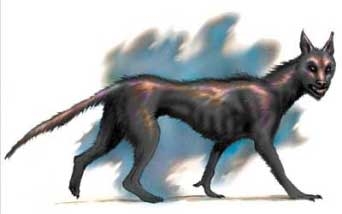  Chien de Yeth