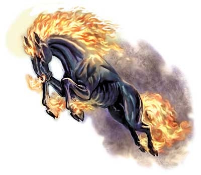  Destrier noir