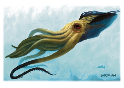  Kraken