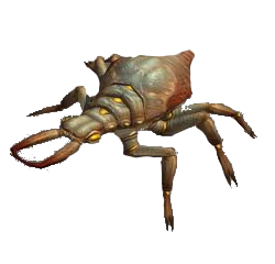 Scarabée Bombardier