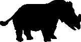 Rhinocéros
