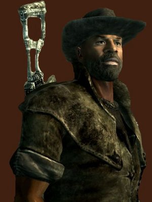 fallout.perso