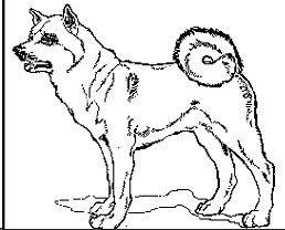 yokai-chien