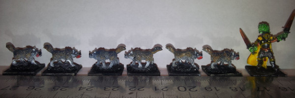 Pendraken - FG6 Warwolves